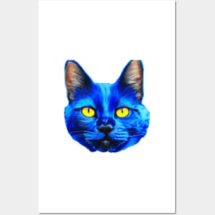 Cat the seems avatar Posters and Art